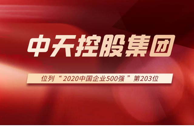 豪运国际集团列2020中国企业500强第203位！